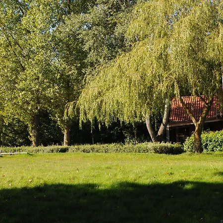 酒店 加斯特豪斯威尔酒店 伊塞尔恩哈根