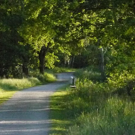 酒店 加斯特豪斯威尔酒店 伊塞尔恩哈根