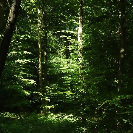 Hotell Und Gaestehaus Will 3*